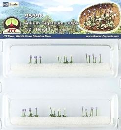 JTT HO: Allium Gigateum (30)
