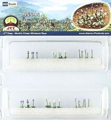 JTT HO: Allium Gigateum (30)