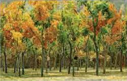 JTT N: Wood EdgeTrees Fall Mix(15)