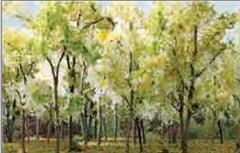 JTT N: Wood EdgeTreesBeigeGreen(15