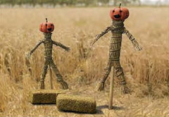 JTT Scarecrow & Hay