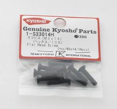 Hex FH Screw (M3x14)(10)