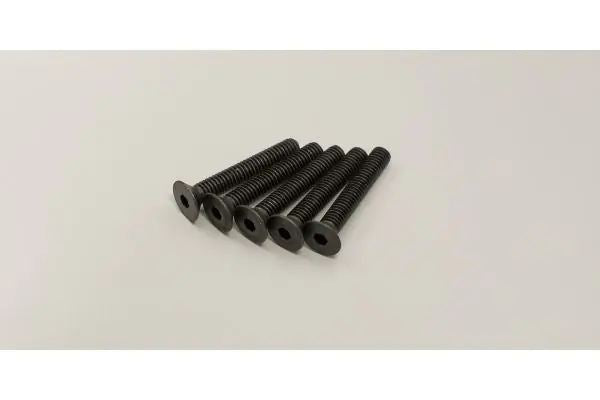 Kyosho Hex FH Screw (M4x25)(5)