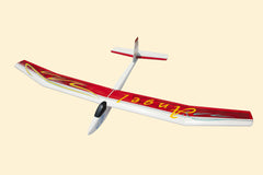 Angel 2000 Sailplane with Power Pod New 2025 by Seagull