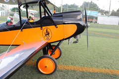 De Havilland DH-60M Moth 72 Inch ARF 15cc by Seagull
