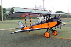De Havilland DH-60M Moth 72 Inch ARF 15cc by Seagull