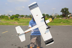 Challenger Sport LW - 63" ARF, 10-15cc ( JP 50th anniversary) New 2025 by