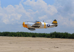 Giant P-47D "Dan'l Boone" ARF 55-60cc Included box of 3pcs of Electric Retracts
