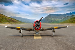 P-47D Little Bunny 55 Inch ARF 10cc Included Electric Retracts Matte Finish by