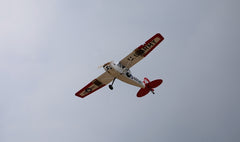 Giant Scale Cessna Bird Dog DeadEye 122 Inch ARF 70-125cc NEW 2024 by Seagull