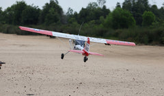 Giant Scale Cessna Bird Dog DeadEye 122 Inch ARF 70-125cc NEW 2024 by Seagull