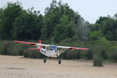 Giant Scale Cessna Bird Dog DeadEye 122 Inch ARF 70-125cc NEW 2024 by Seagull