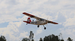 Giant Scale Cessna Bird Dog DeadEye 122 Inch ARF 70-125cc NEW 2024 by Seagull