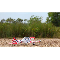 Art Scholl's Super Chipmunk 63 Inch ARF 15cc NEW 2024 by Seagull