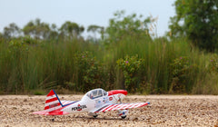 Art Scholl's Super Chipmunk 63 Inch ARF 15cc NEW 2024 by Seagull