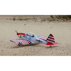 Art Scholl's Super Chipmunk 63 Inch ARF 15cc NEW 2024 by Seagull