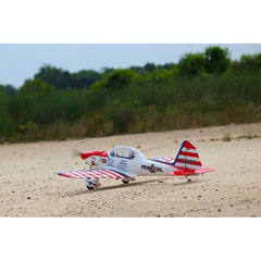 Art Scholl's Super Chipmunk 63 Inch ARF 15cc NEW 2024 by Seagull
