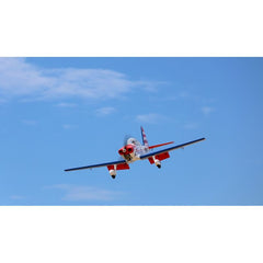 Art Scholl's Super Chipmunk 63 Inch ARF 15cc NEW 2024 by Seagull