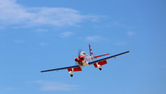 Art Scholl's Super Chipmunk 63 Inch ARF 15cc NEW 2024 by Seagull