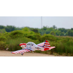 Art Scholl's Super Chipmunk 63 Inch ARF 15cc NEW 2024 by Seagull