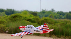 Art Scholl's Super Chipmunk 63 Inch ARF 15cc NEW 2024 by Seagull