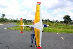 Super Weekend Special - ARF 98.5" Sport Aerobatic by Seagull New June 2025