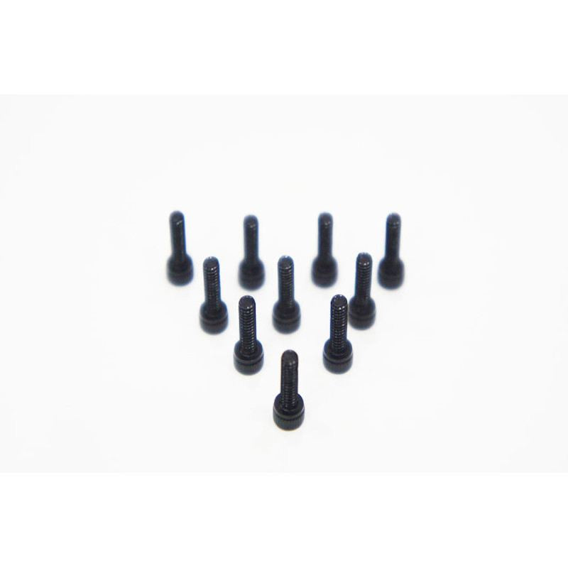 Agama 2.5*8mm(10) Cap Head Hex Screw