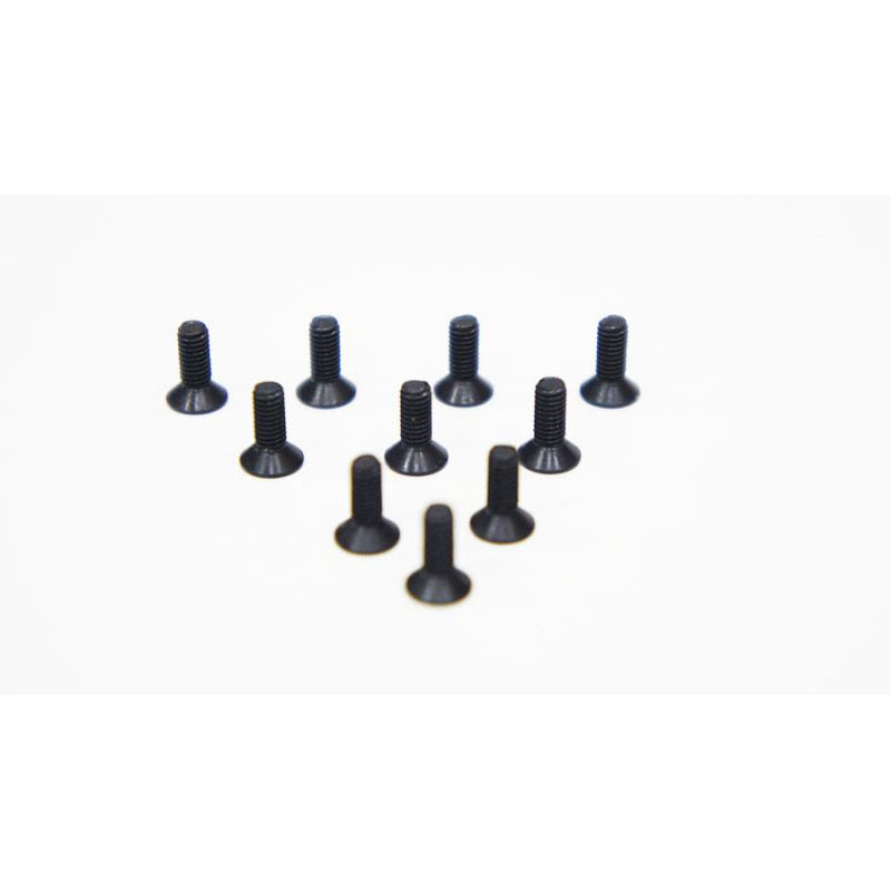 Agama 3*8mm(10) Countersunk Hex Screw