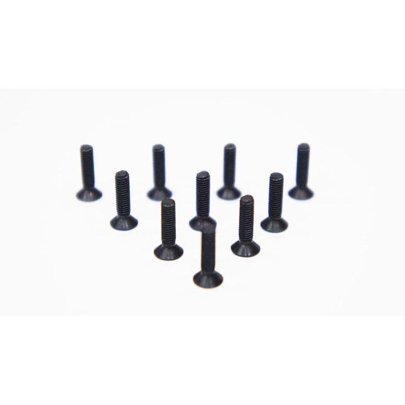 Agama 3*12mm(10) Countersunk Hex Screw