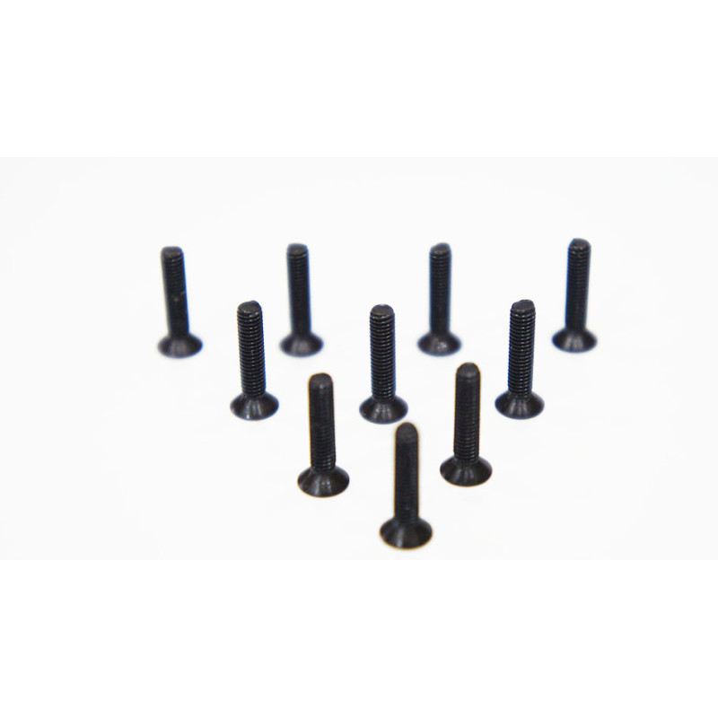 Agama 3*14mm(10) Countersunk Hex Screw