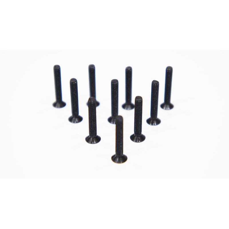 Agama 3*18mm(10) Countersunk Hex Screw