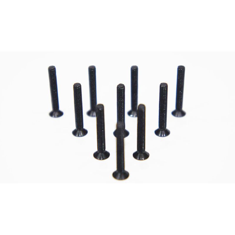 Agama 3*20mm(10) Countersunk Hex Screw