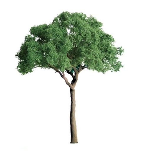 JTT Green Jacaranda 25.4mm(6)