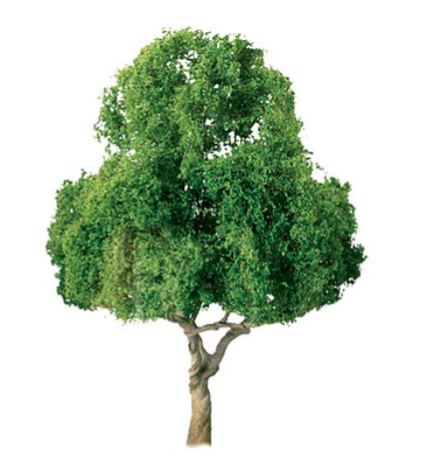 JTT Deciduous Trees 25.4mm(6)