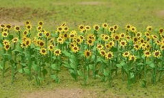 JTT O: 50mm Sunflowers (16)