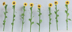 JTT O: 50mm Sunflowers (16)