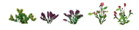 JTT O: Assrtd Flwr Plnts 1 (10)