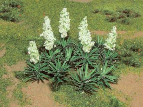 JTT O: Yucca (20)