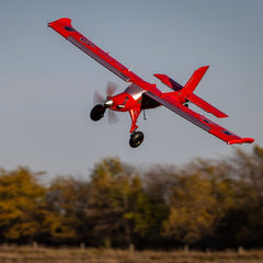 Micro DRACO 800mm BNF Basic with AS3X and SAFE Select by Eflite
