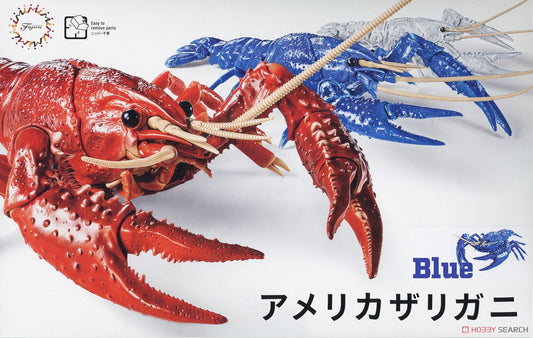 Fujimi Biology: Crayfish (Blue)