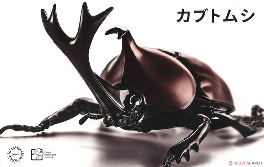 Fujimi Biology: Beetle