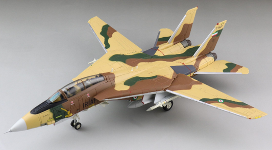 Hobby Master 1/72 F-14A: 82nd TFS