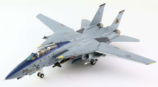 Hobby Master 1/72 F-14D: 'Black Lions'