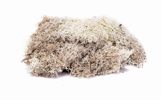 Hornby Lichen: Stone Grey