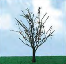 JTT Dry Trees 50- 57mm (3)