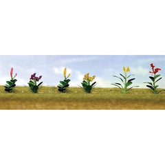 JTT O: Assrtd Flwr Plnts 4 (10)
