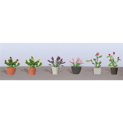 JTT O: Assrtd P/Flwr Plnts1 (6)