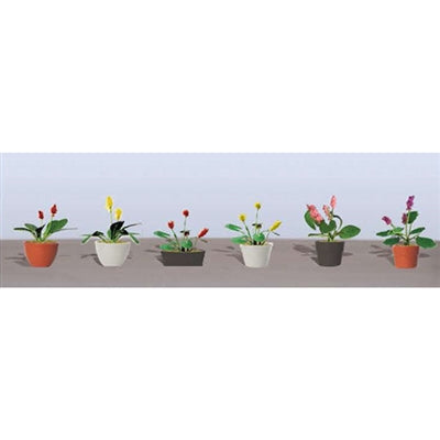 JTT O: Assrtd P/Flwr Plnts3 (6)
