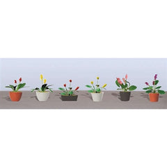 JTT O: Assrtd P/Flwr Plnts3 (6)