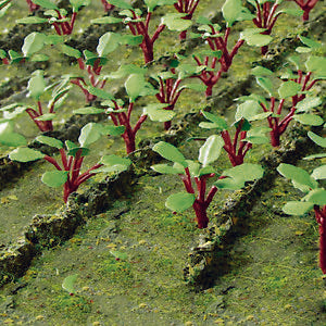 JTT HO: Rhubarb (28)